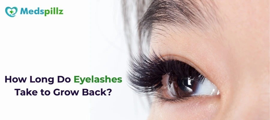 How Long Do Eyelashes Take to Grow Back